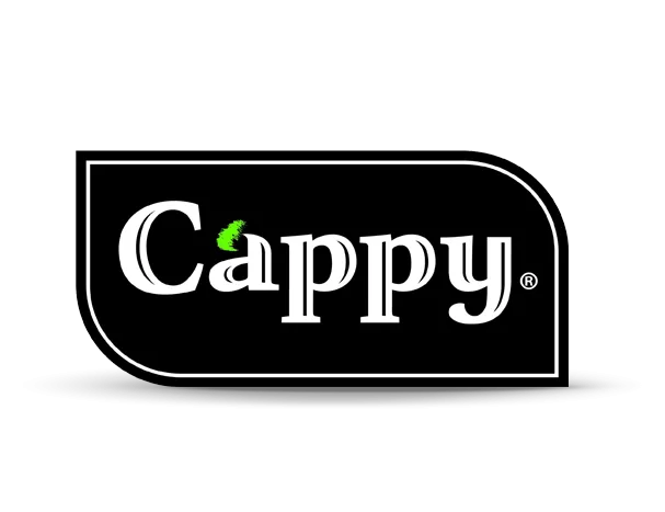 Cappy Meyve Suyu 330ml.